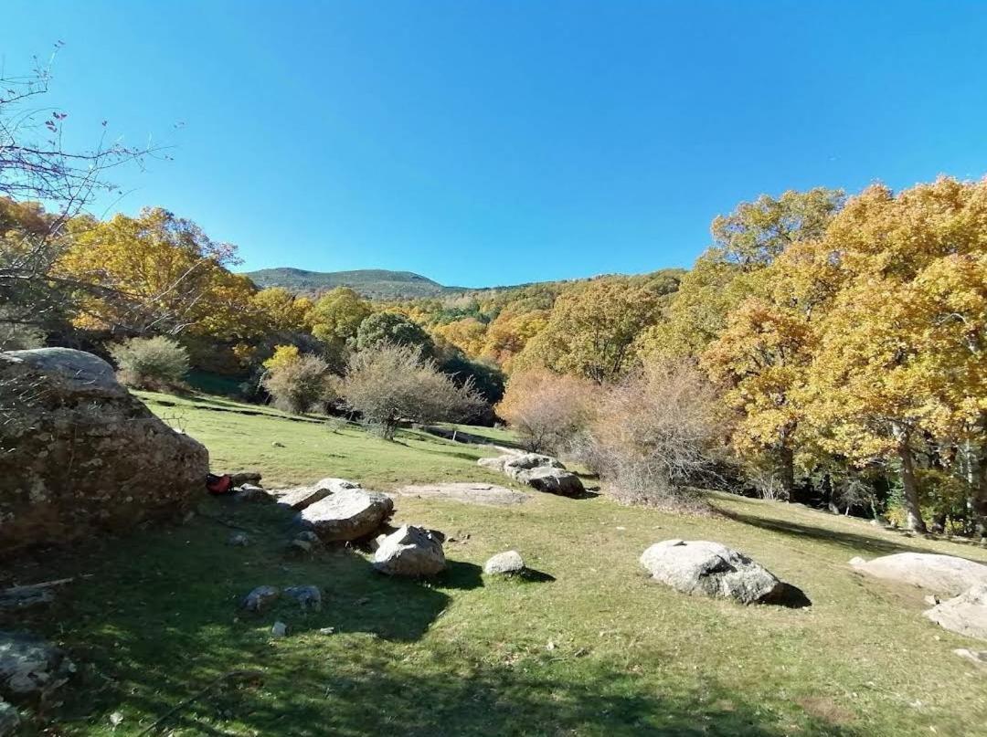 Bonita Casa En El Bosque - El Tiemblo Villa Exteriör bild