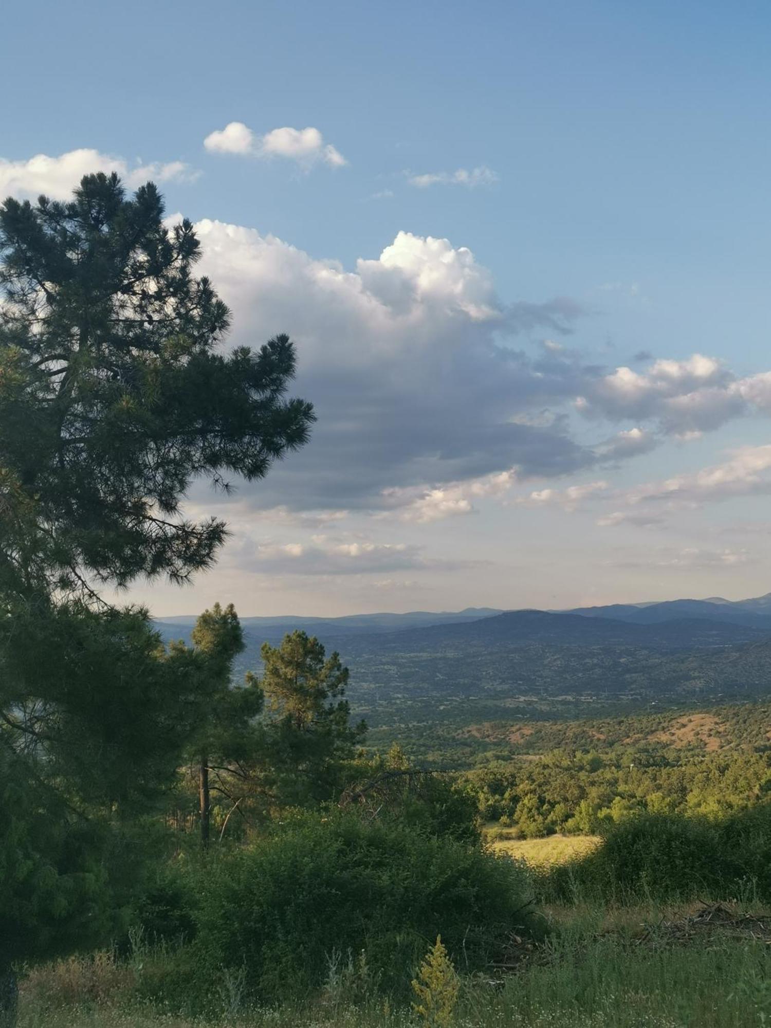 Bonita Casa En El Bosque - El Tiemblo Villa Exteriör bild