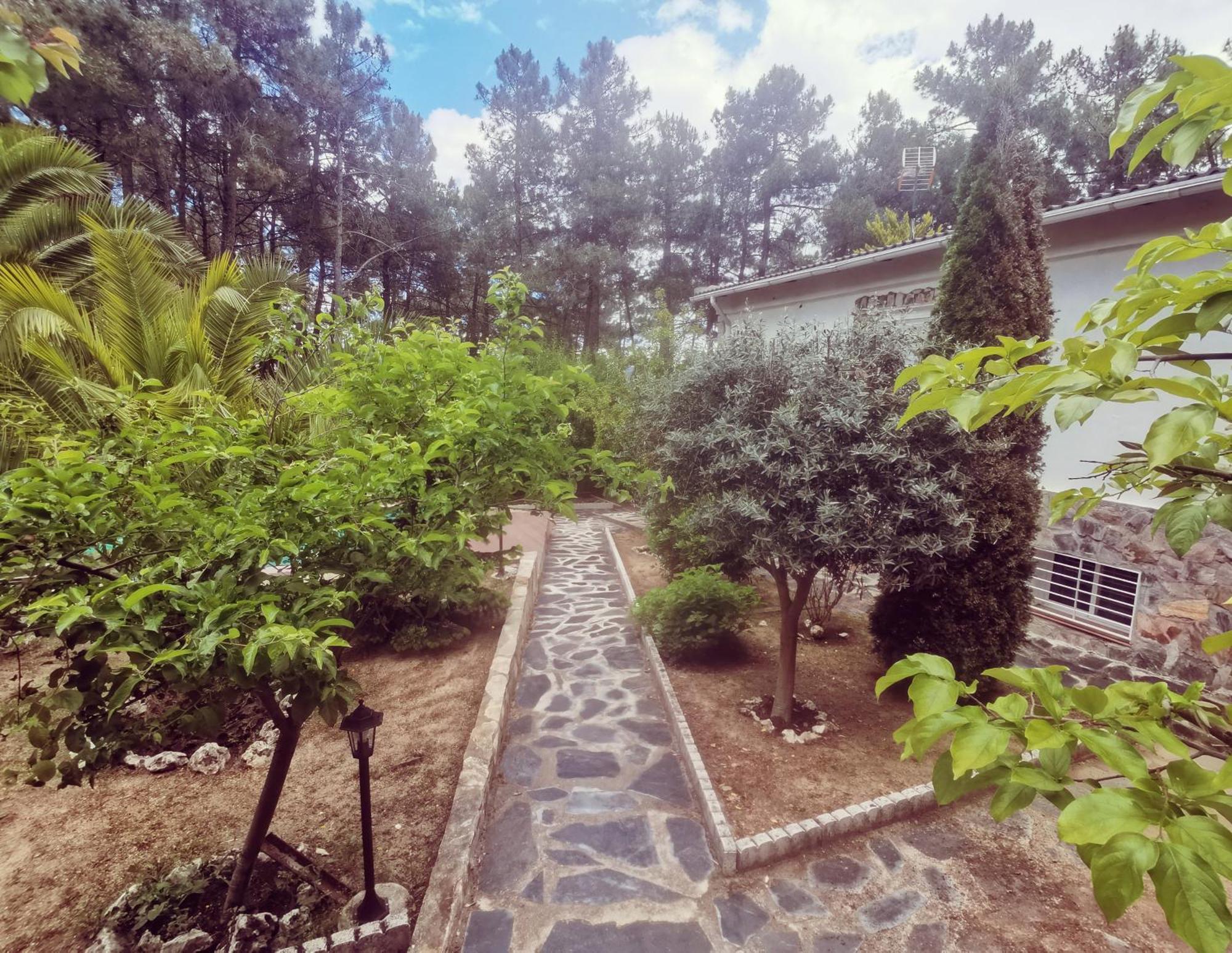 Bonita Casa En El Bosque - El Tiemblo Villa Exteriör bild